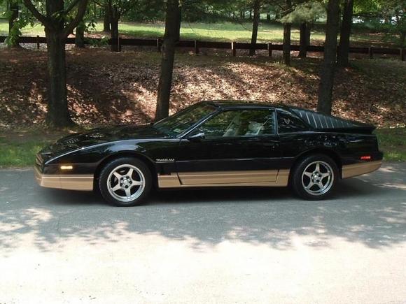 87ta love the color combo.