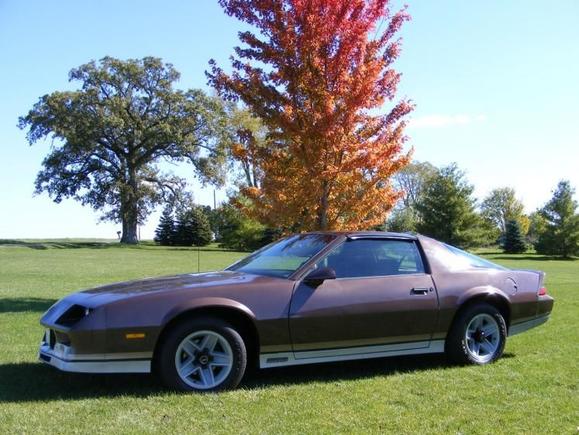 Z28 sunday 016
