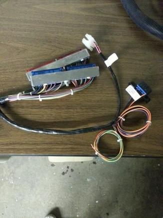 Custom OBDll harness.