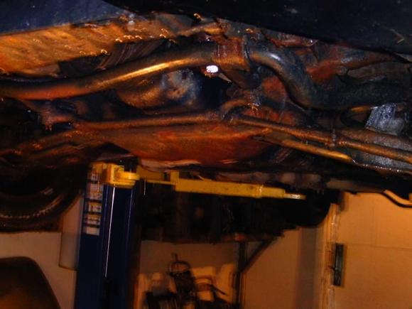 Gina's chassis