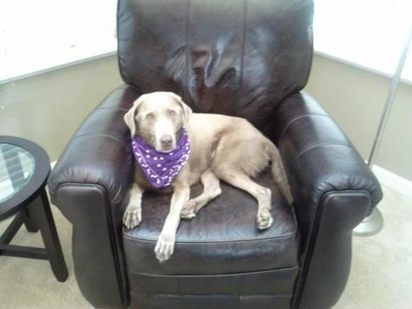 Roxy