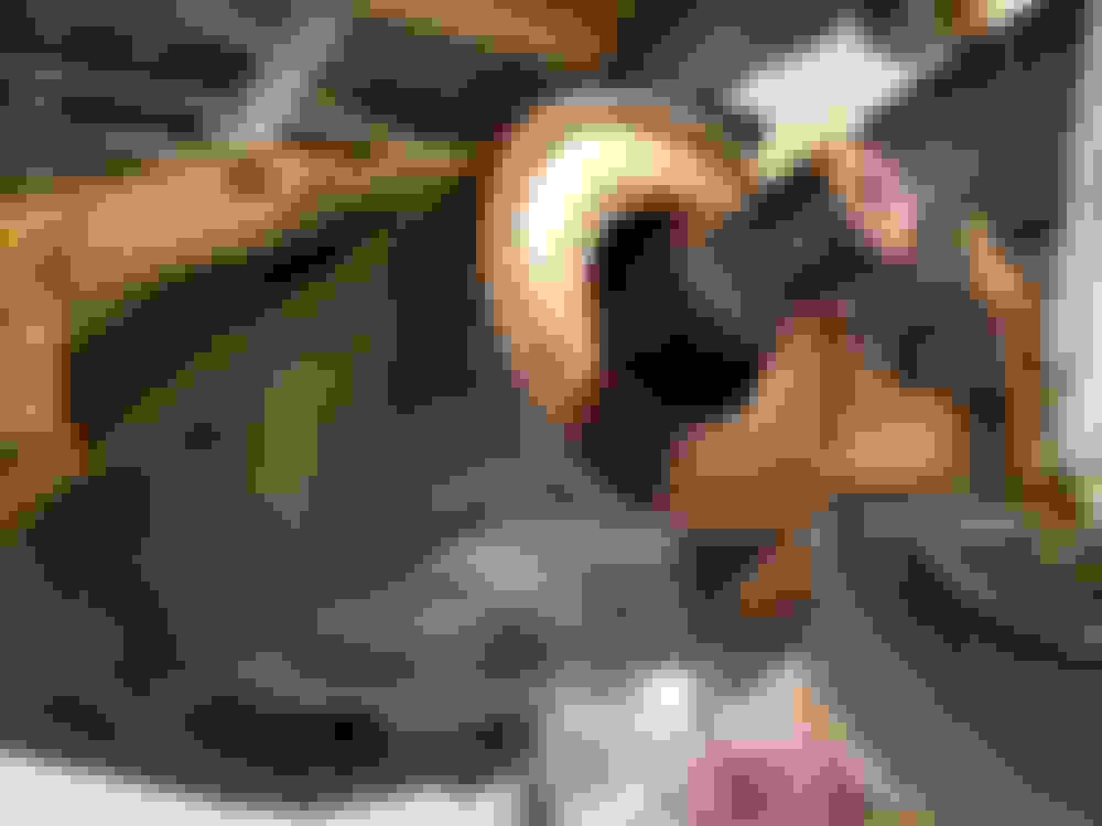 Rear Diff Seal Replacement Cost