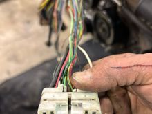 II1 plug on 1UZ engine harness, female side.