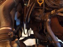 the pump doesn't need to be disconnected from any hoses, just removed from the mounting bracket.  with it and the distributor pulled, the alternator can be removed from the topside, rather than pulling the lower radiator hose (and draining coolant).  i find this method preferable, anyway.