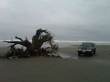 On the beach at Westport, WA.