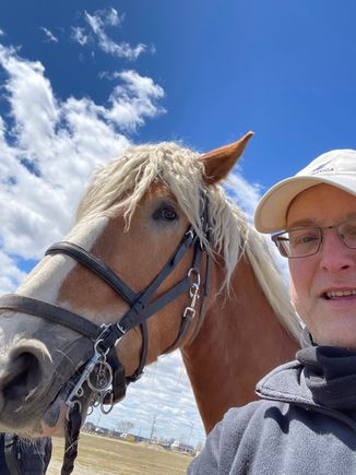 Belgian Horse selfie. Smile, Ben!