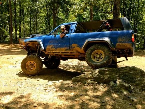 uwharrie nation forest