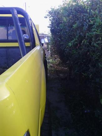 move the truck? nah I'll just trim the vine so i can get in the passenger door