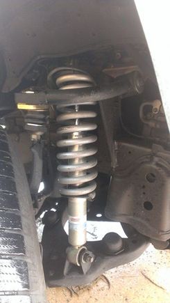 bilstein and eibach spring