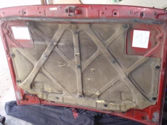 P6040001
Hood when I started