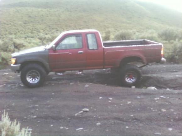 flexin the back