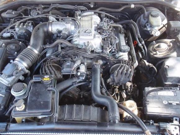 P9250004
1uz