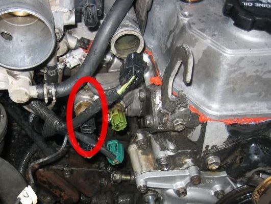 blackplug