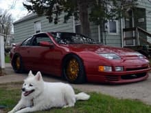 My dog Chico decided to pose with the Z!