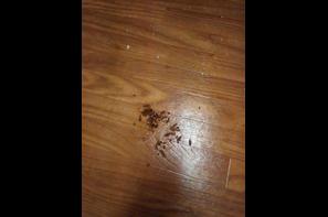 Charter Pointe Apartments 111 Reviews Altamonte Springs Fl Resident Photo Uploaded On 04 22 2019 Image Of Charter Pointe Apartments