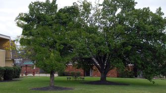 Colony of Springdale - Cincinnati, OH