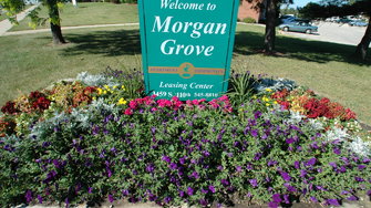 Morgan Grove - West Allis, WI