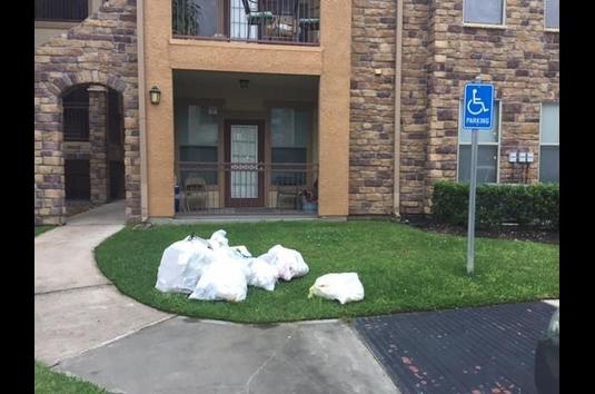 Cobblestone Park - 118 Reviews | Manvel, TX Apartments for Rent