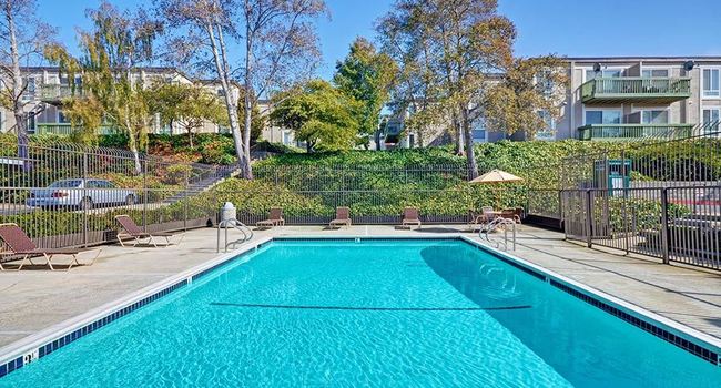 Baycliff Apartments 28 Reviews Richmond Ca Apartments For Rent Apartmentratings C