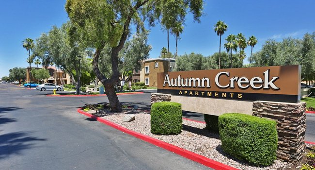 Autumn Creek 55 Reviews Chandler, AZ Apartments for
