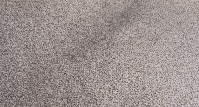 More dirty carpeting