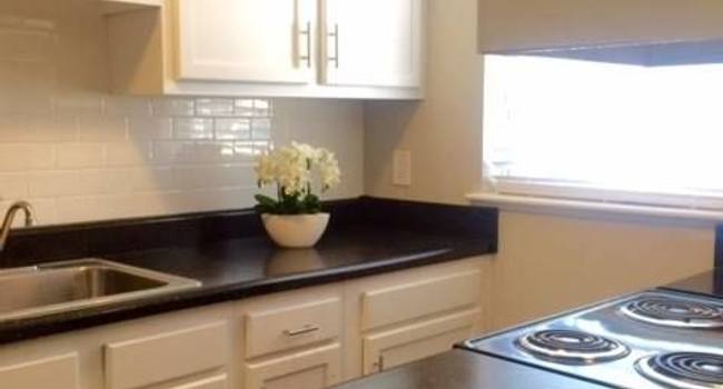 Diamond Springs Apartments 62 Reviews Virginia Beach Va