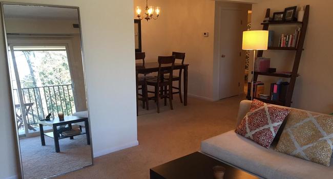 Ivy Gardens 48 Reviews Charlottesville Va Apartments For Rent