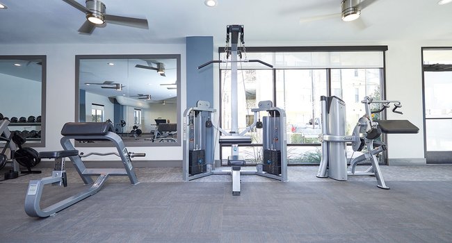 Legacy North 400 Reviews Plano Tx Apartments For Rent Apartmentratings C
