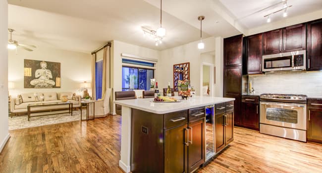 2900 West Dallas 36 Reviews Houston Tx Apartments For Rent Apartmentratings C