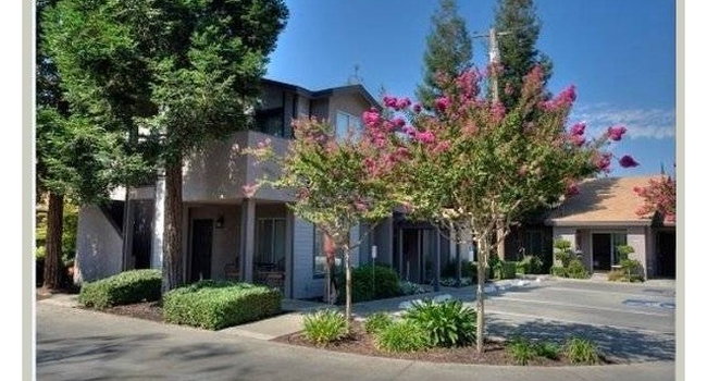 Arbor Manor Senior Apartments | Turlock, CA Apartments for Rent ...