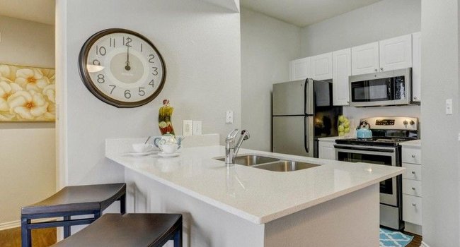 Terrazzo Apartments - 72 Reviews | Austin, TX Apartments for Rent ... Terrazzo Apartments - 72 Reviews | Austin, TX Apartments for Rent ...