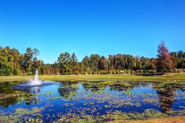 Lauren Ridge Apartments - 115 Reviews | Lexington, SC Apartments for