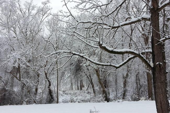 Kingswood Apartments - 146 Reviews | Chapel Hill, NC Apartments for